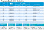 Imagen de ESCOBILLA LIMPIAPARABIRSA BOSCH ECO UNIVERSAL UNITARIA 430MM